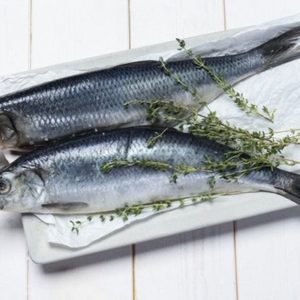 Fettschlau essen – was ist das?