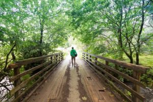 © Adobe Stock - Patrick Daxenbichler