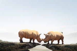 © Adobe Stock - Sergey Nivens