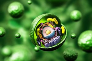 © Adobe Stock - destina