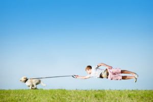 © Adobe Stock - grafikplusfoto