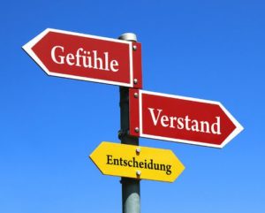 © Adobe Stock - LKlauser