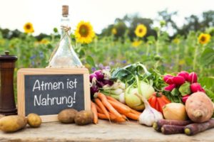 © Adobe Stock - Miriam Dörr
