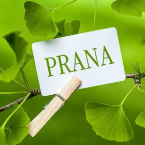 Prana, das Lebensmittel für die Seele