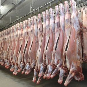 Essen wir unsere Welt kaputt?