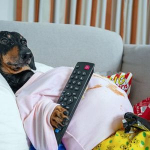 Couch Potato sein ist kein Schicksal