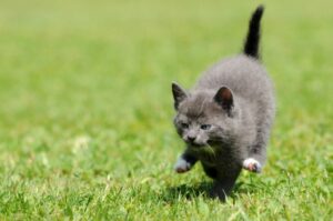 © Adobe Stock - Carola Schubbel