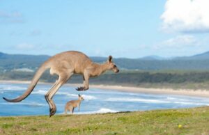 © Adobe Stock - Christopher Howey