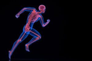 © Adobe Stock - Kirill_M