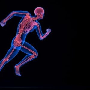 „Knochenarbeit“ für die Gesundheit!