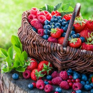 Wer es bunt treibt, bleibt gesund!